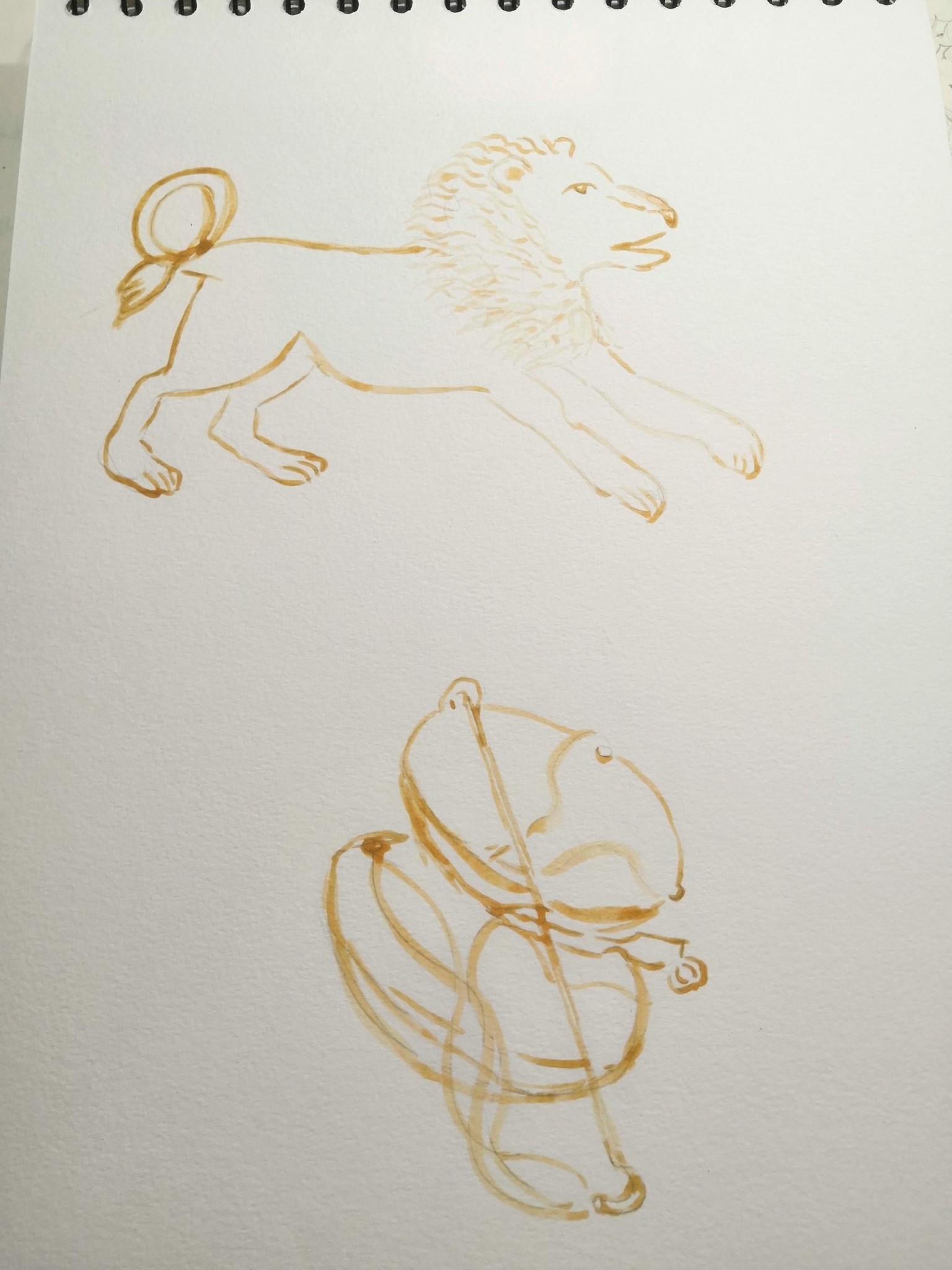 Zodiac Signs - image 3 - student project