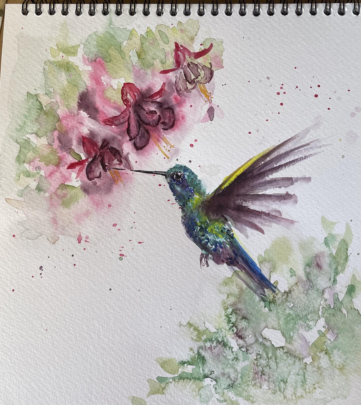 Hummingbird - image 1 - student project