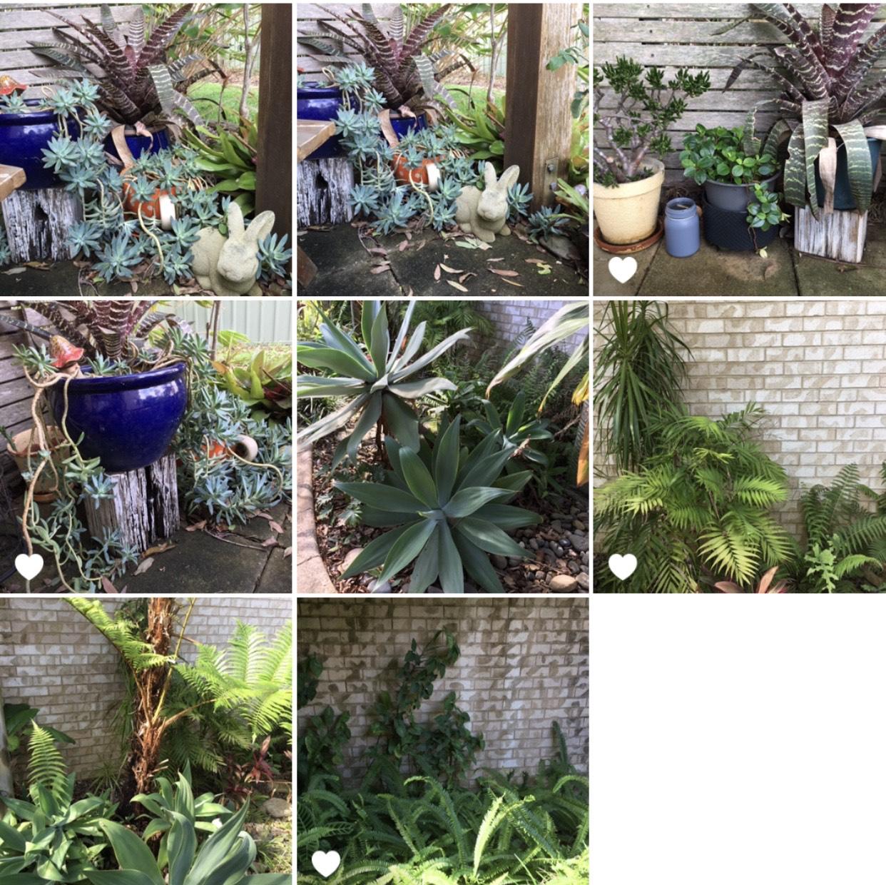 My Little Garden - image 5 - student project