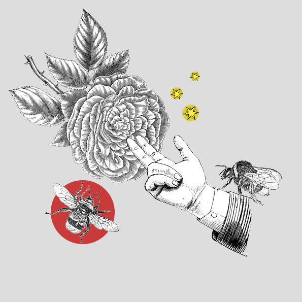 Queen bee - image 8 - student project