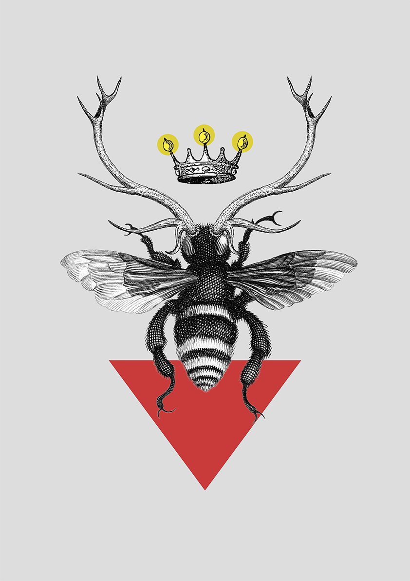 Queen bee - image 4 - student project