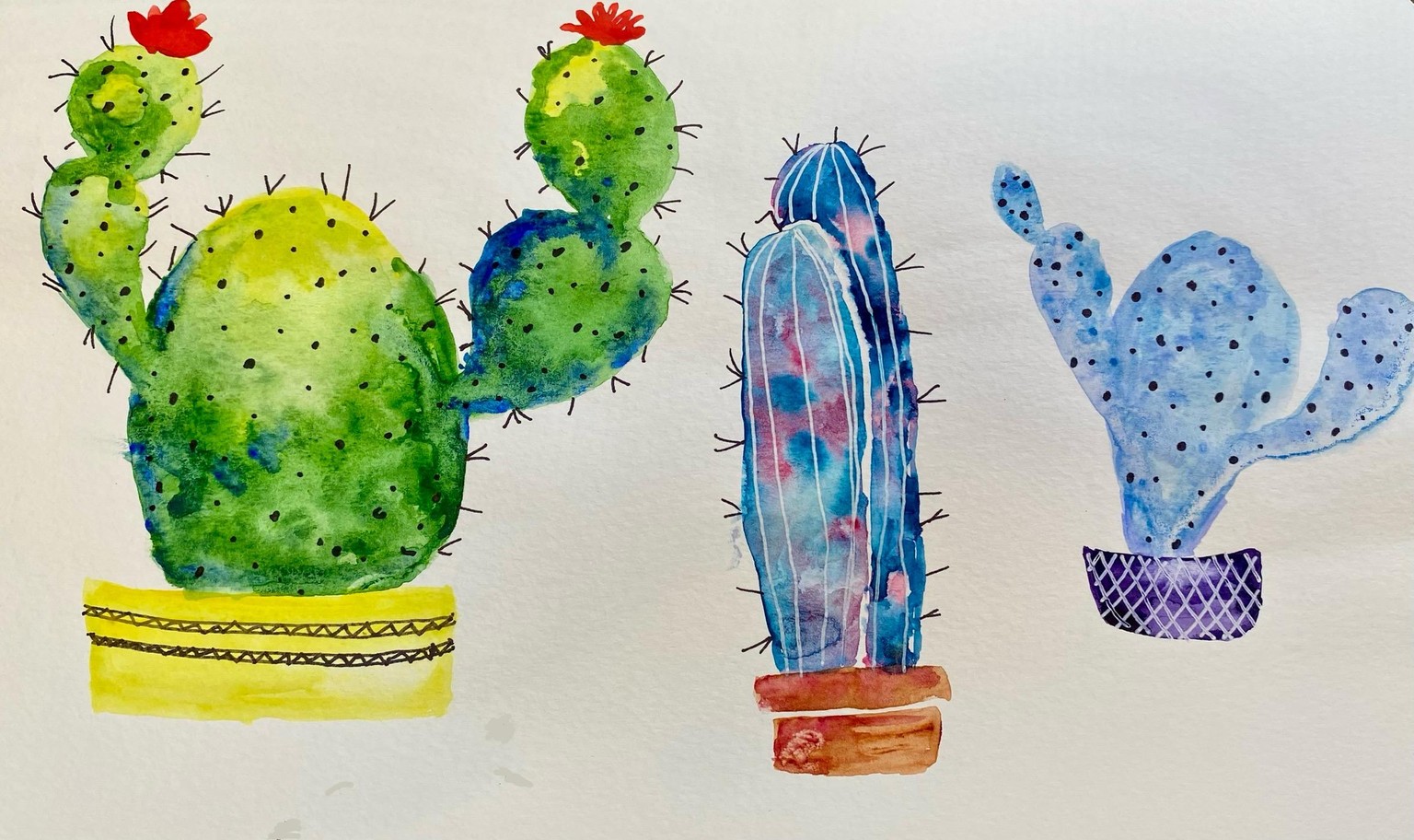 Fun Cacti - image 1 - student project