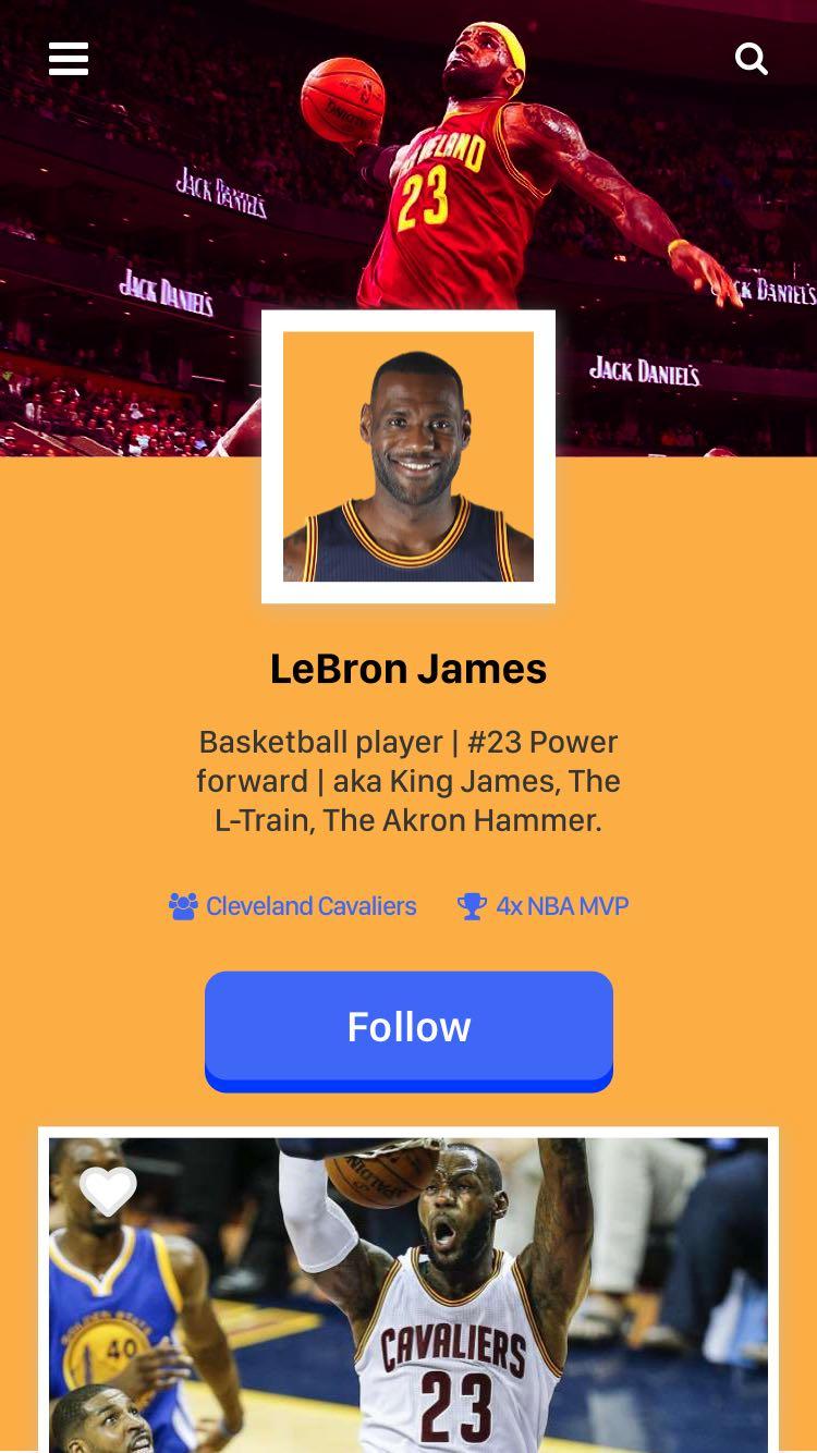 LeBron James - User Profile - image 7 - student project