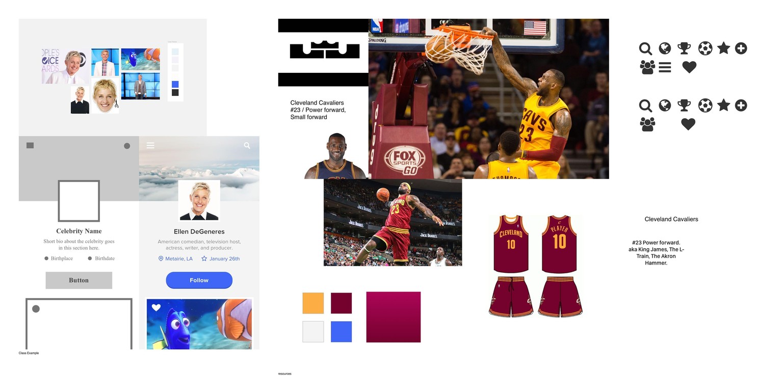 LeBron James - User Profile - image 1 - student project