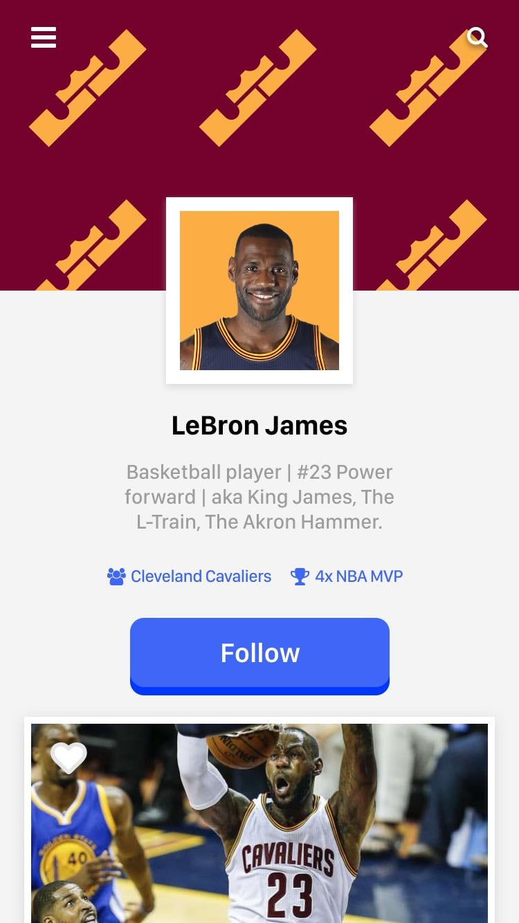 LeBron James - User Profile - image 8 - student project