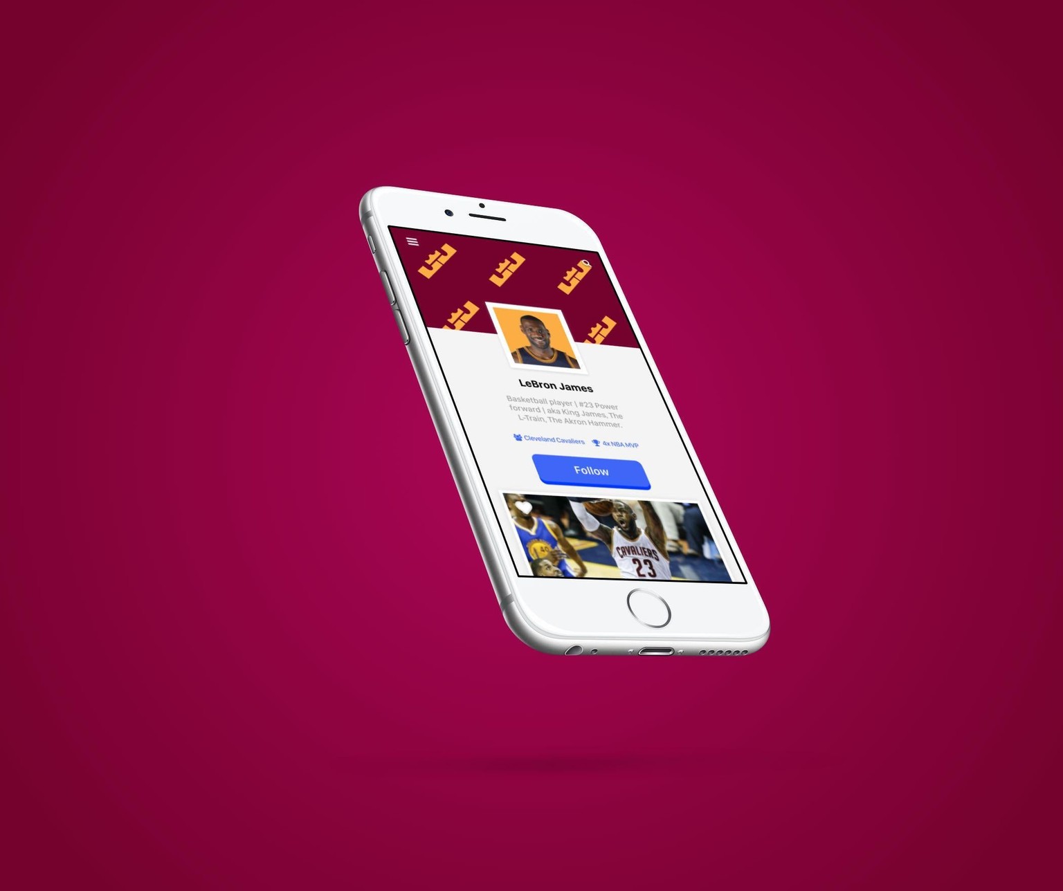 LeBron James - User Profile - image 9 - student project