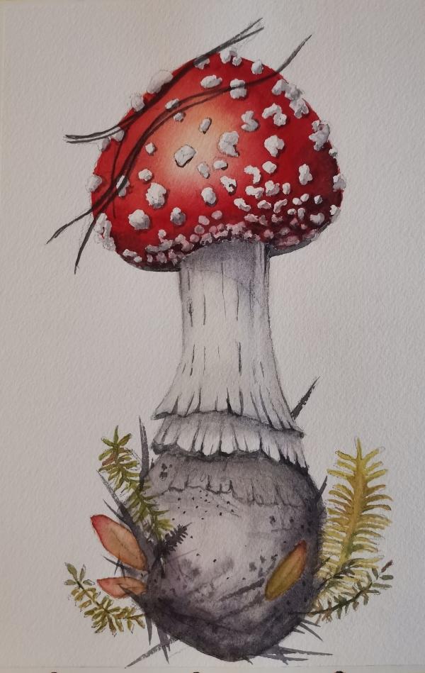 Shroom - image 1 - student project