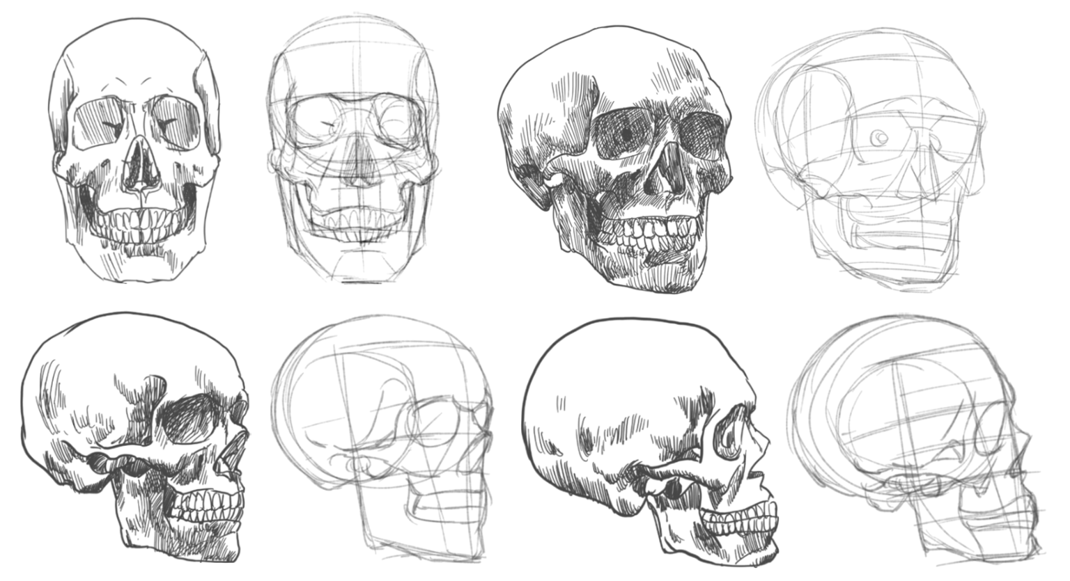 Redo The Head with Loomis Method - image 3 - student project