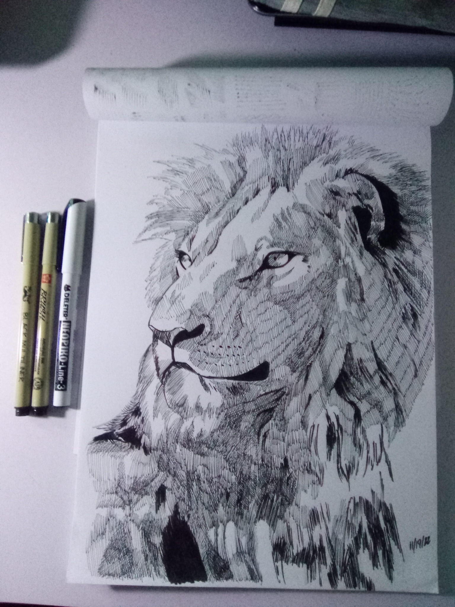 The Lion - image 1 - student project