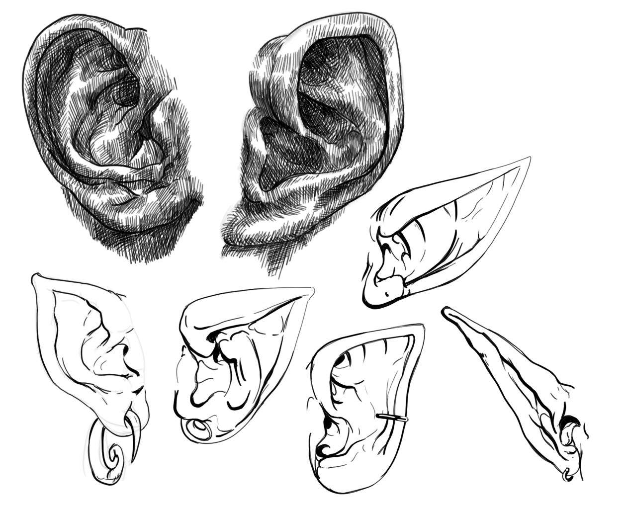 Human and Elf Ears - image 1 - student project