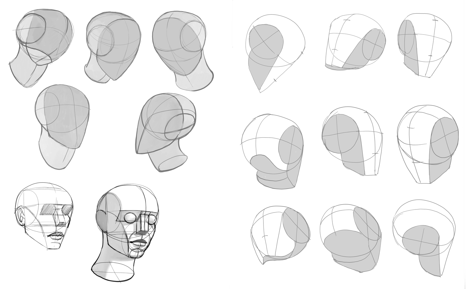 Redo The Head with Loomis Method - image 1 - student project