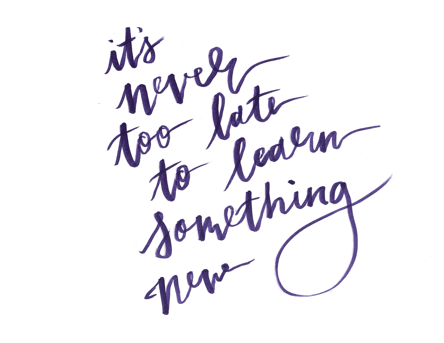 It’s never too late to learn something new - image 5 - student project