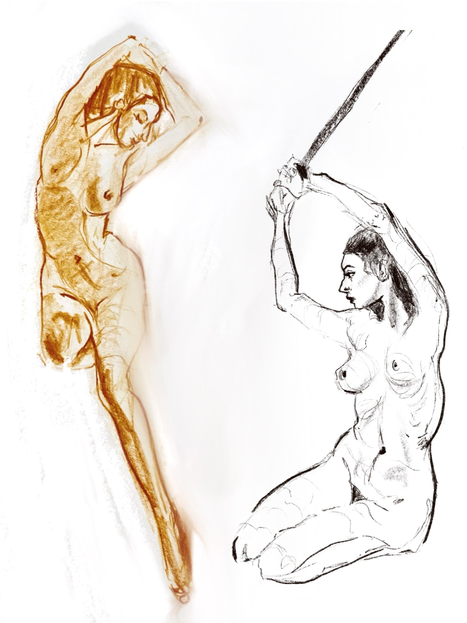 Drawing the natural way - image 2 - student project
