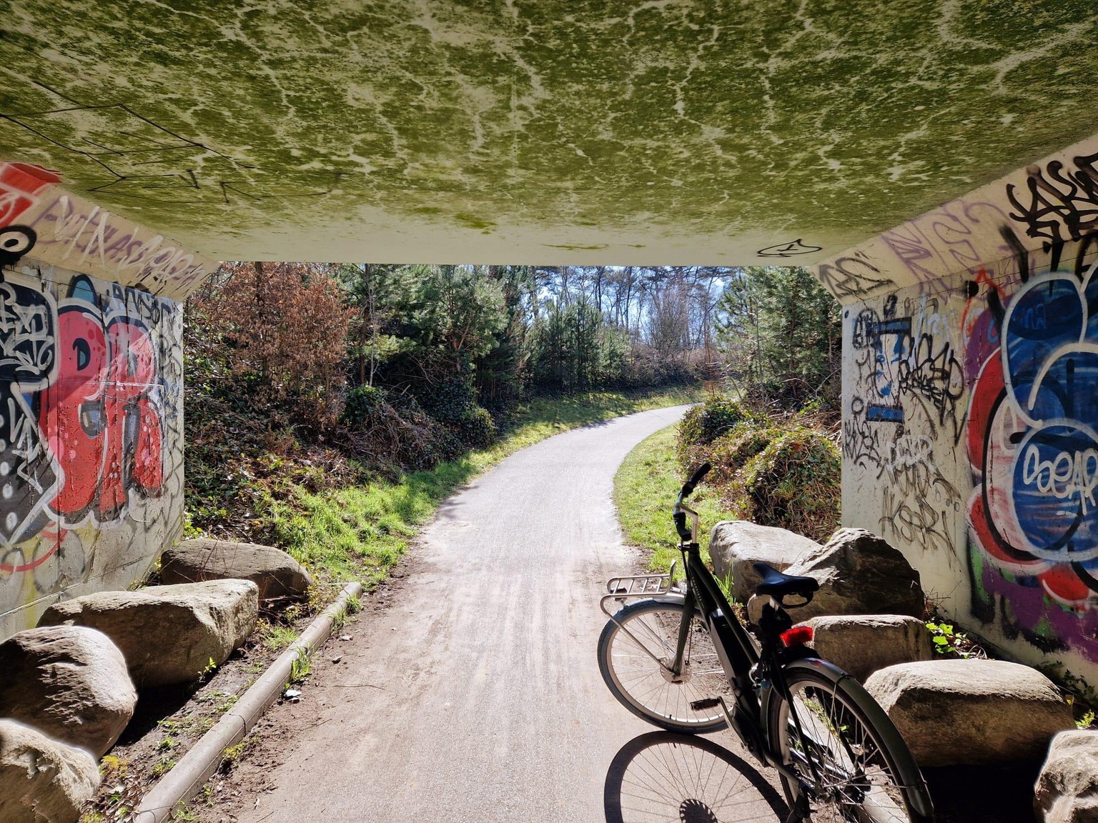 Bike ride - image 1 - student project