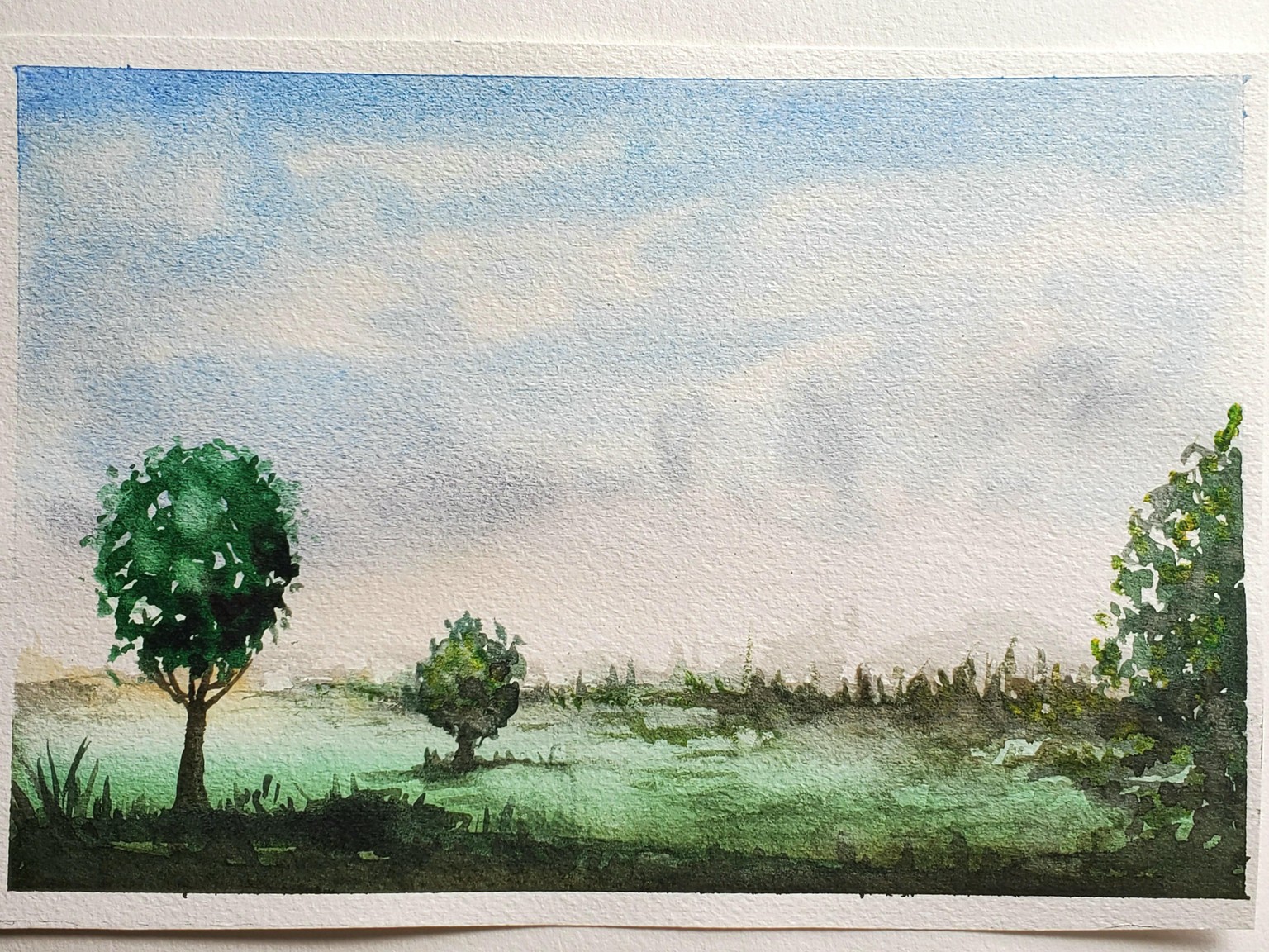 Watercolor - image 1 - student project