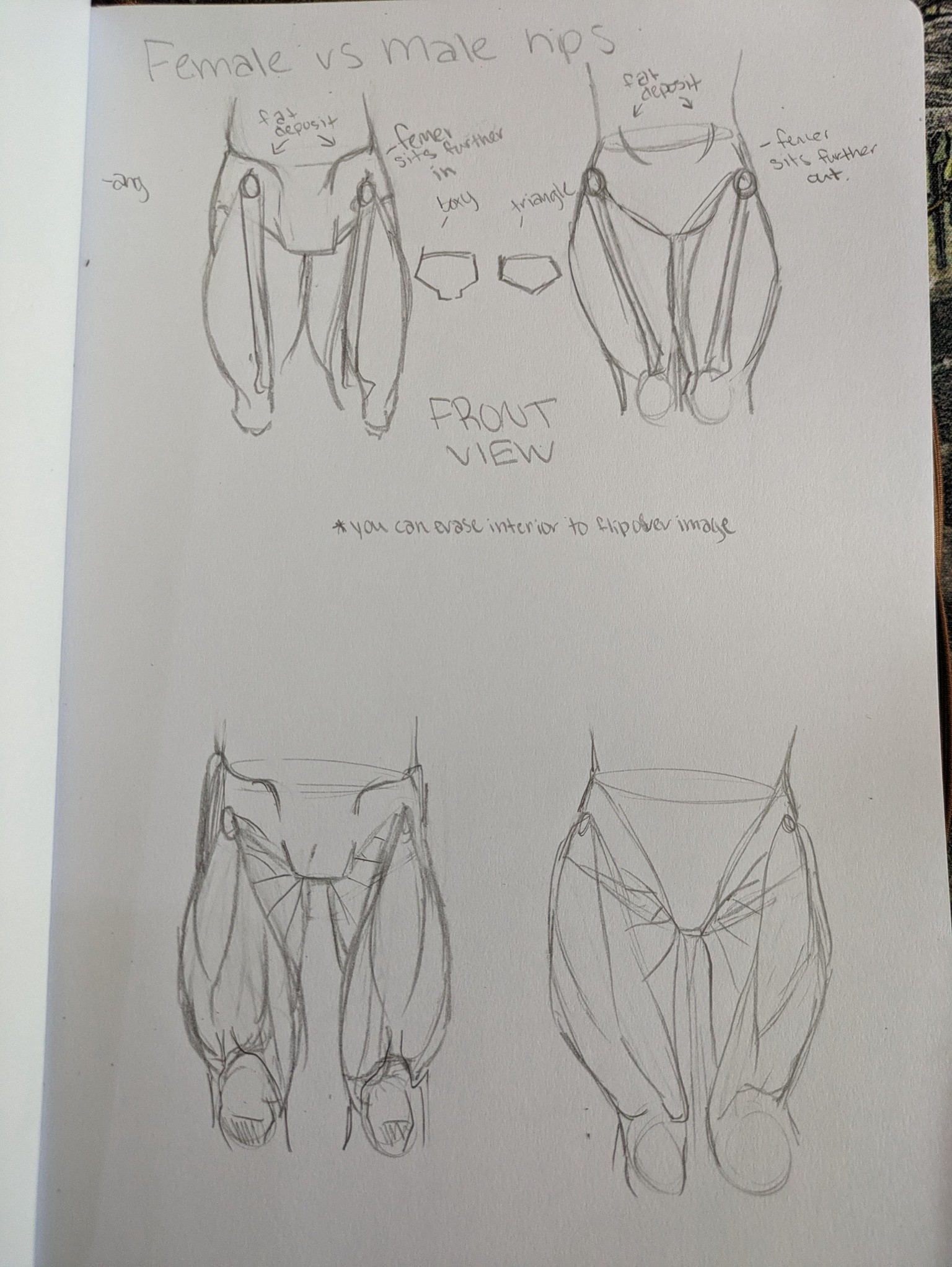 My sketchbook studies - image 6 - student project