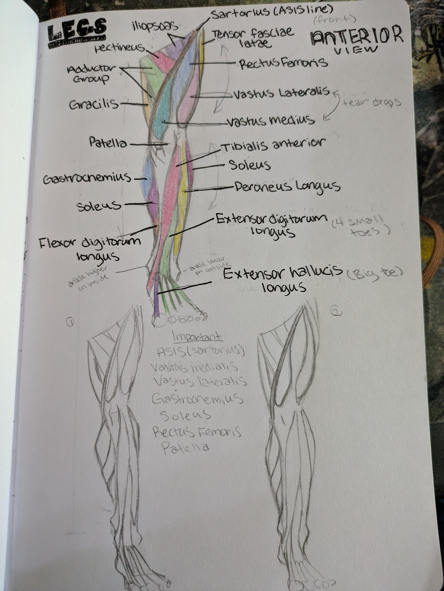My sketchbook studies - image 1 - student project