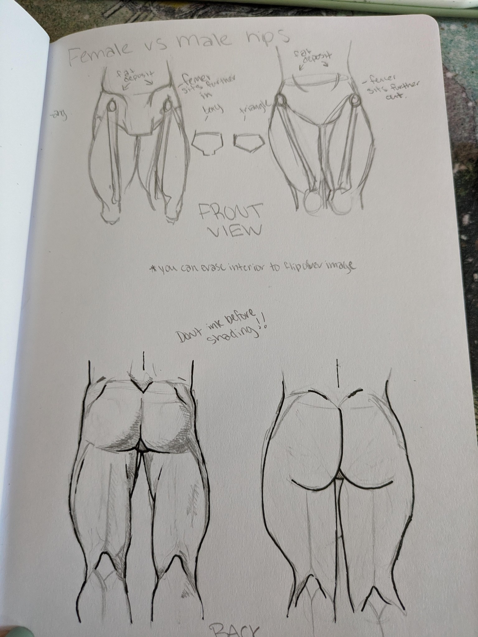 My sketchbook studies - image 7 - student project