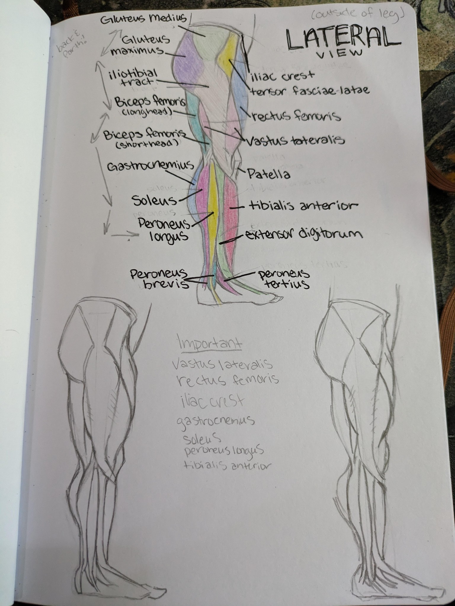 My sketchbook studies - image 4 - student project