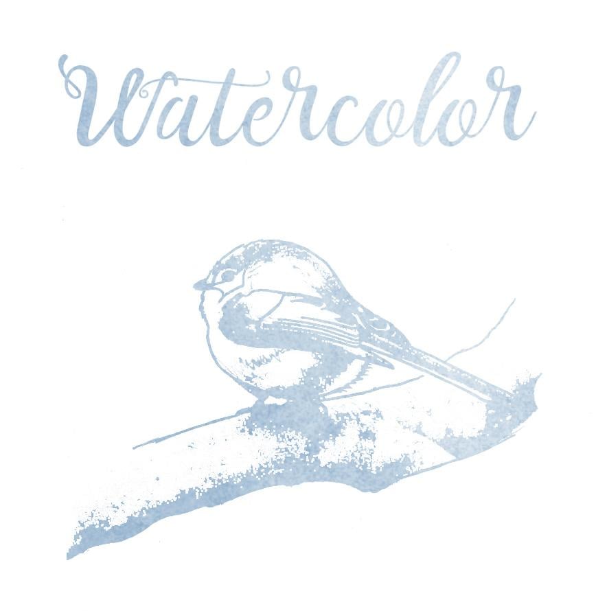 Watercolor Bird - image 1 - student project