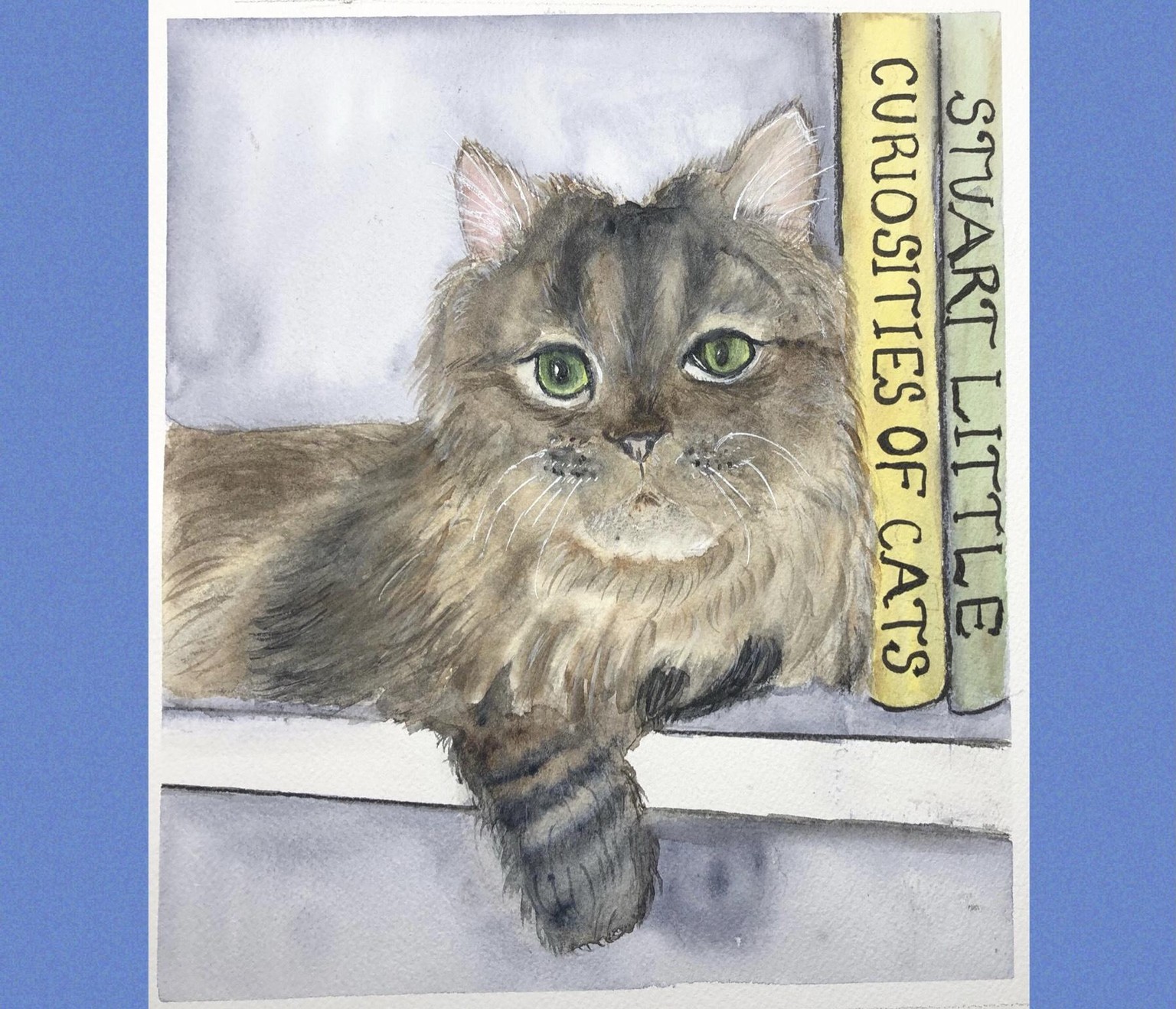 Cat - image 1 - student project
