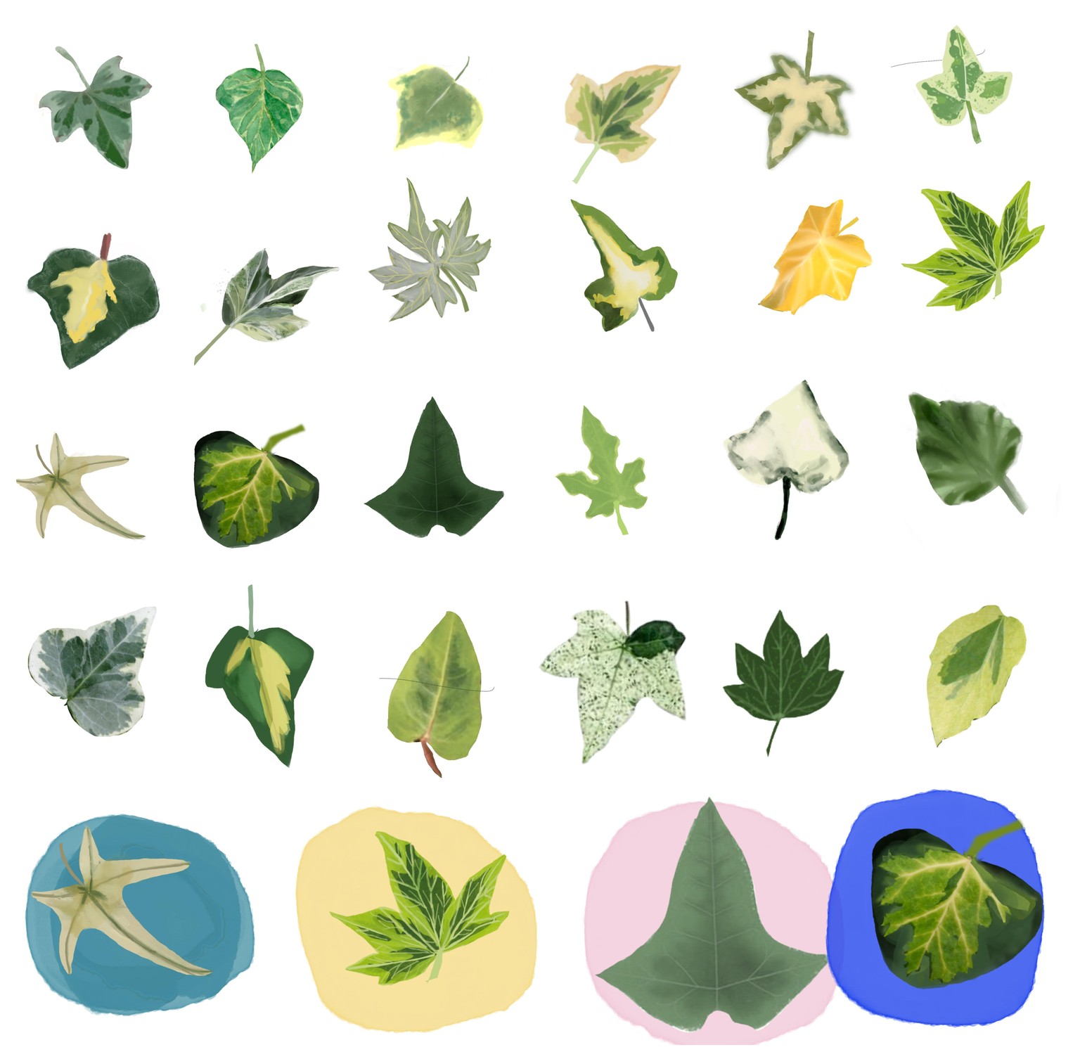 little lambs eat ivy - image 1 - student project