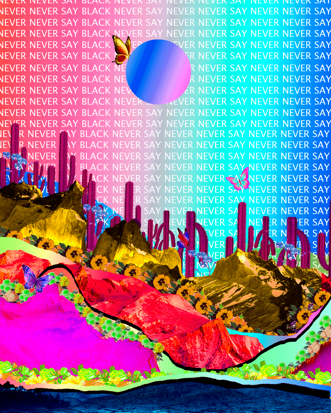 NEVER SAY NEVER - image 2 - student project