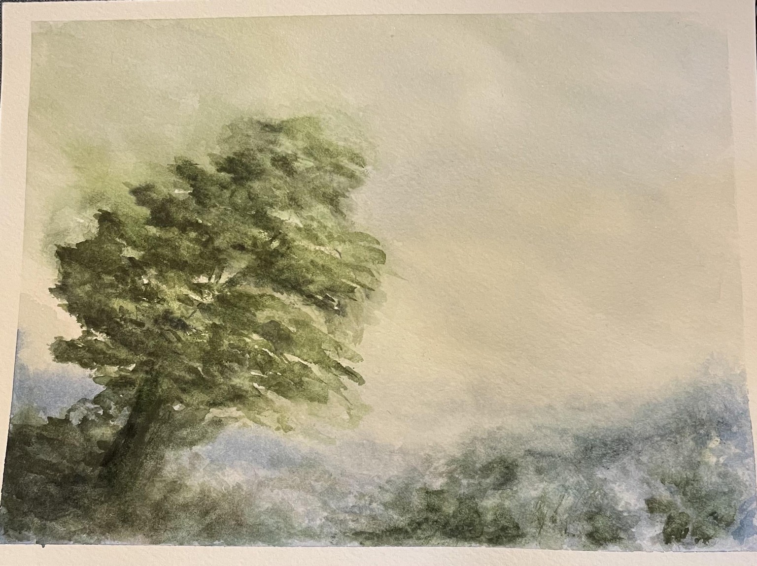 Moody Meditative Landscape - image 1 - student project