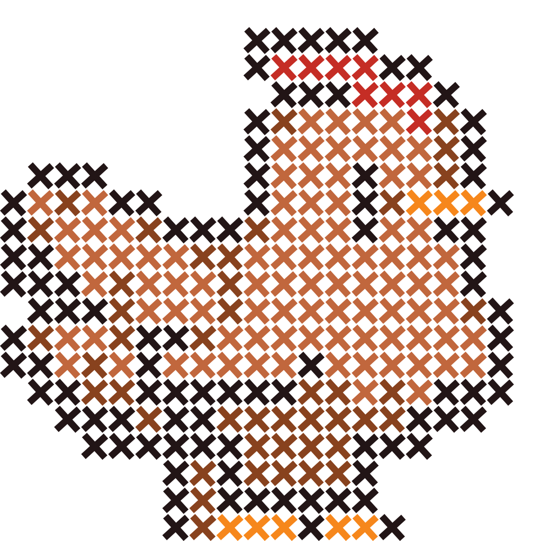 Chicken Cross Stitch Project - image 1 - student project