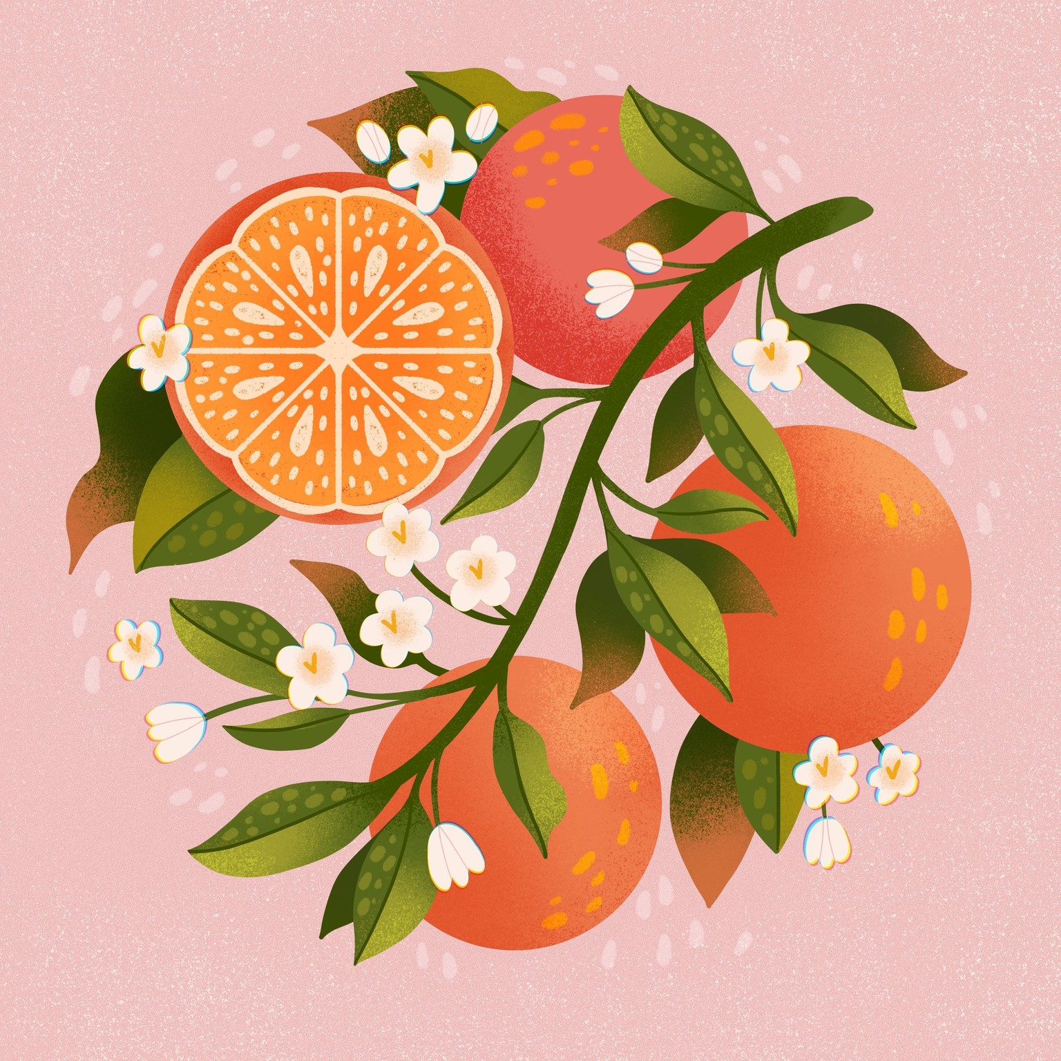 Orange Blossom - image 1 - student project