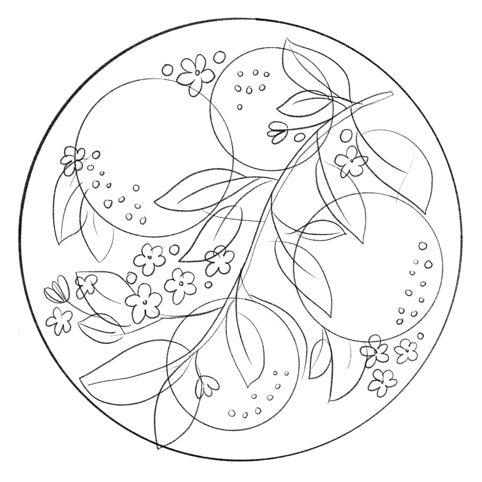 Orange Blossom - image 2 - student project
