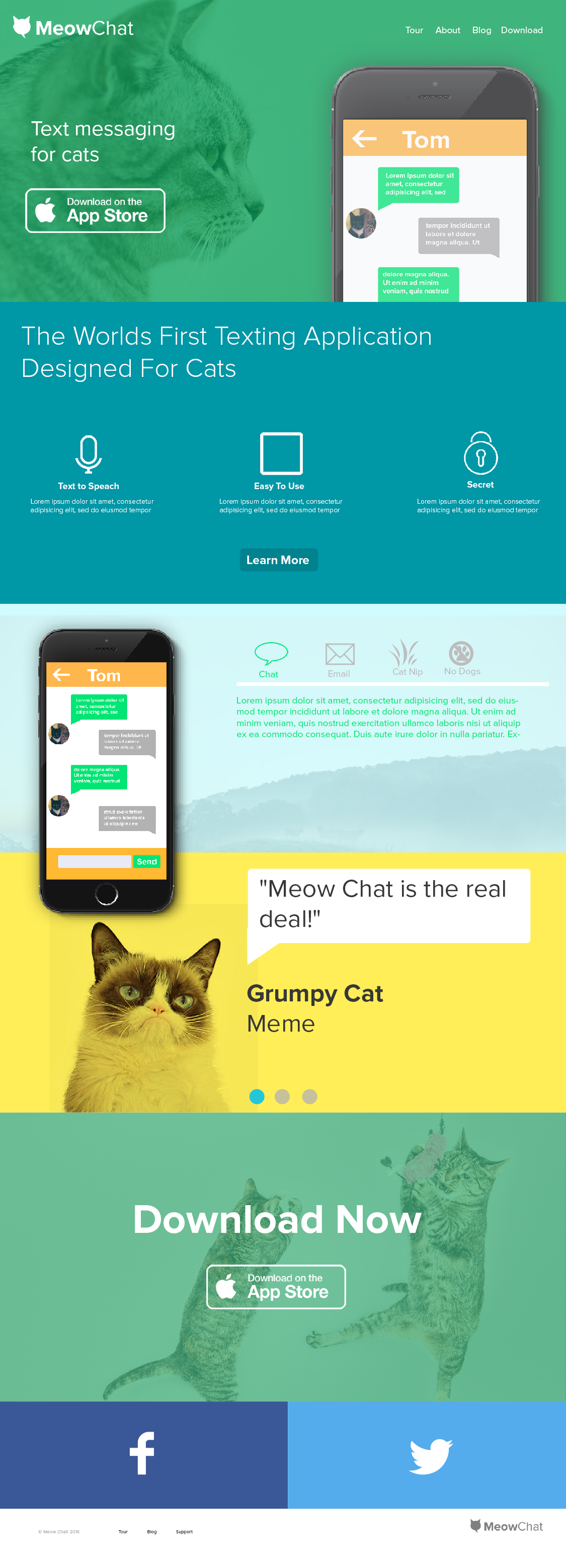 Meow Chat - image 1 - student project