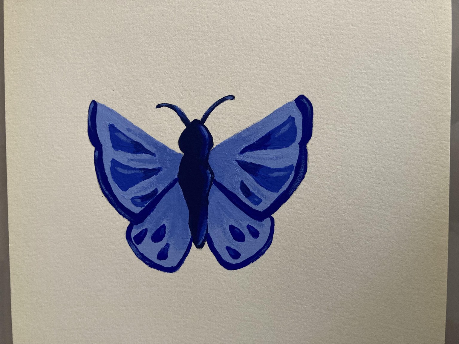 Butterflies a study in color - image 1 - student project