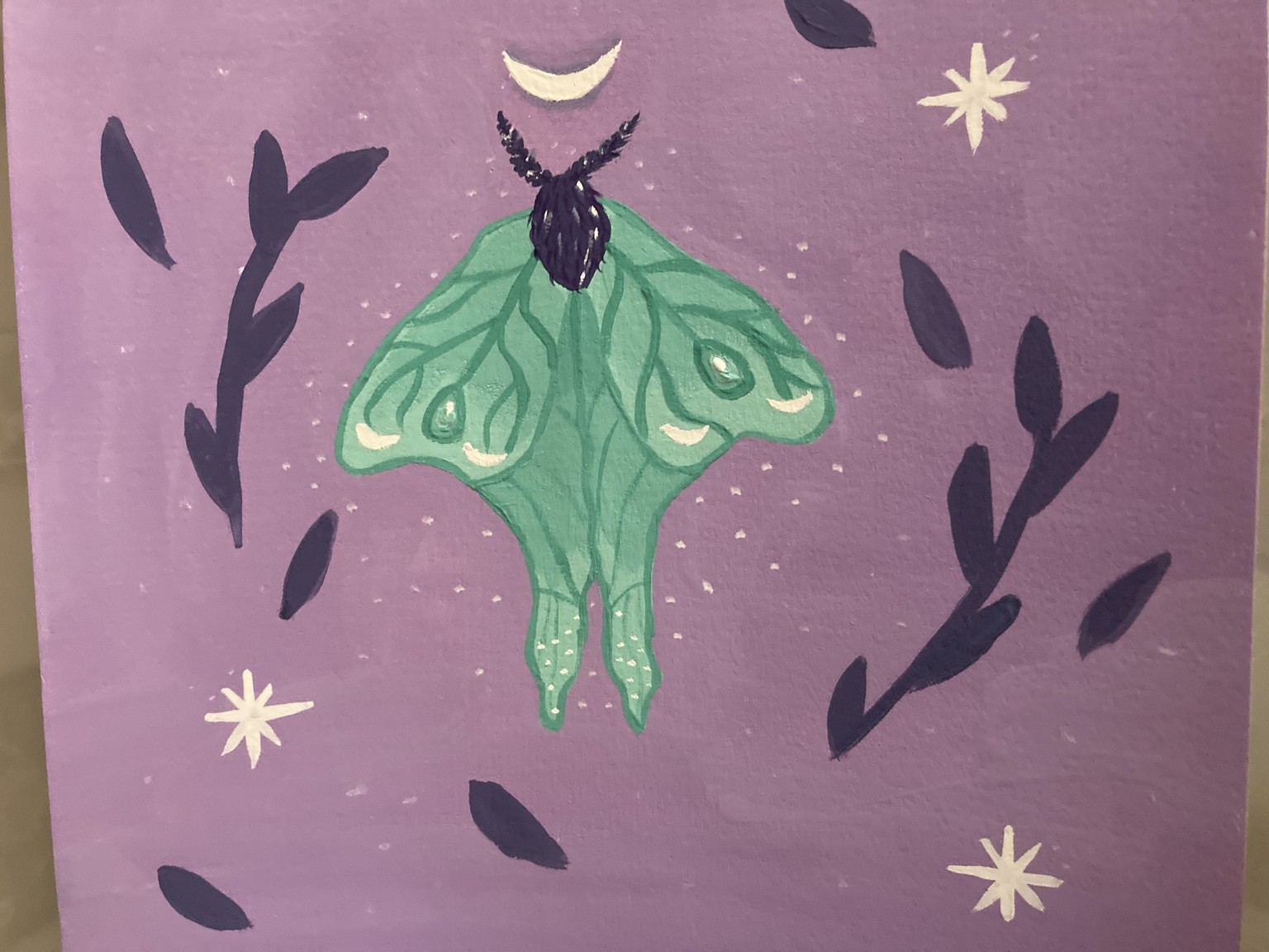 Butterflies a study in color - image 4 - student project