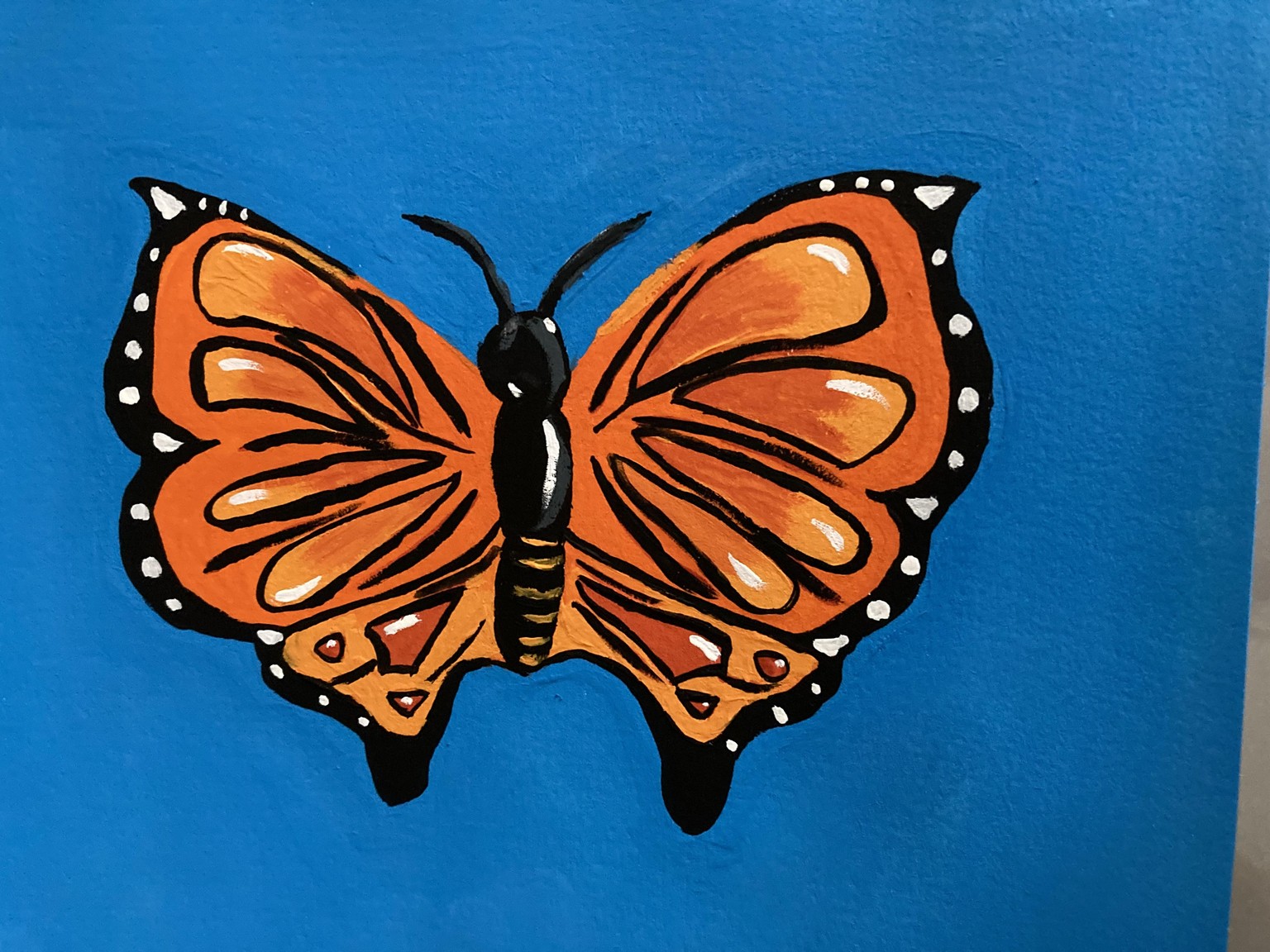 Butterflies a study in color - image 2 - student project