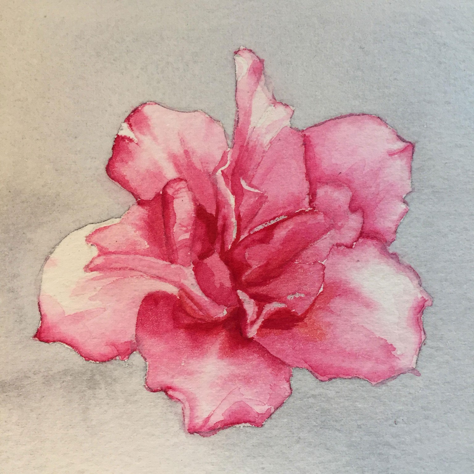 My spring flower - image 4 - student project