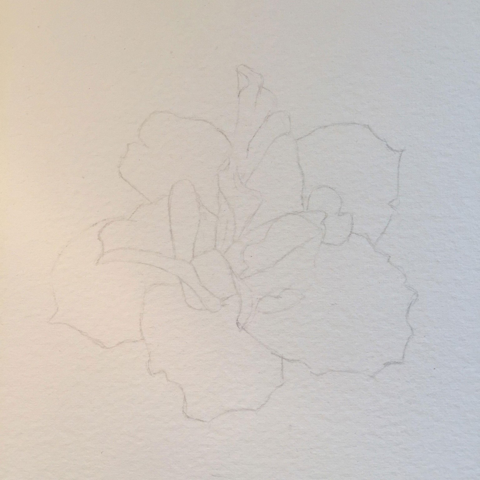 My spring flower - image 2 - student project
