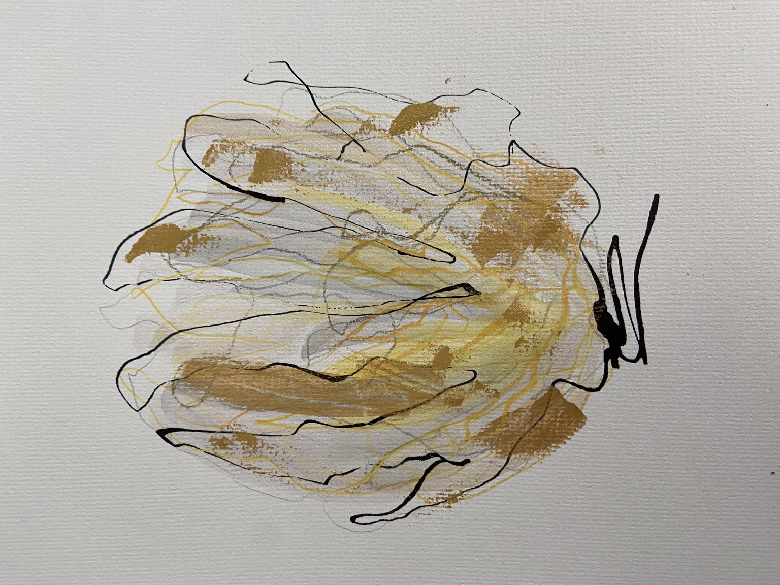My favorite abstract flowers - image 6 - student project