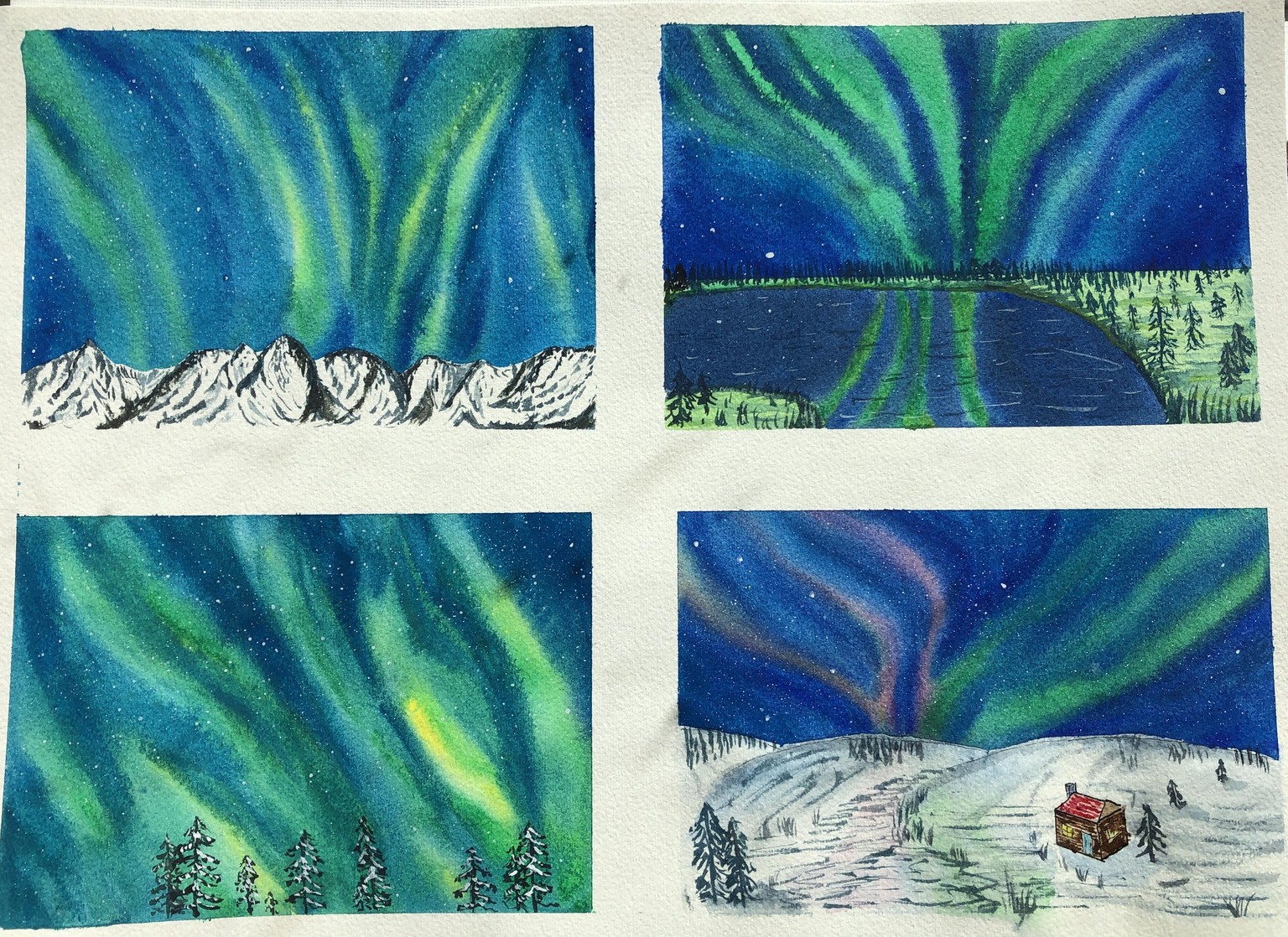 6 Dhriti landscapes - image 1 - student project