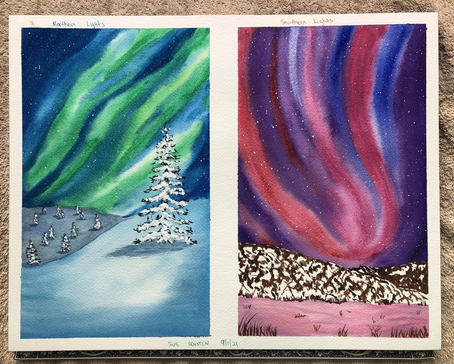 Northern and Southern Lights - image 2 - student project