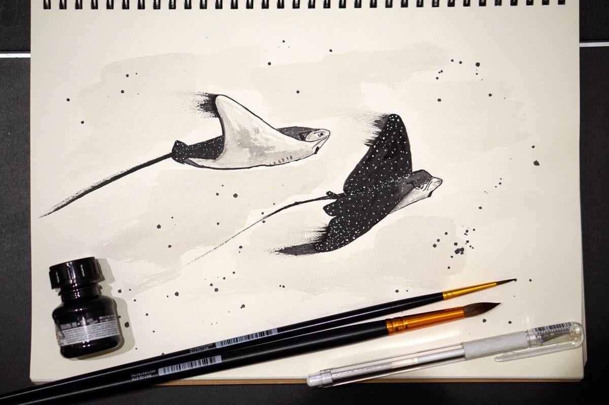 Starry rays - image 2 - student project
