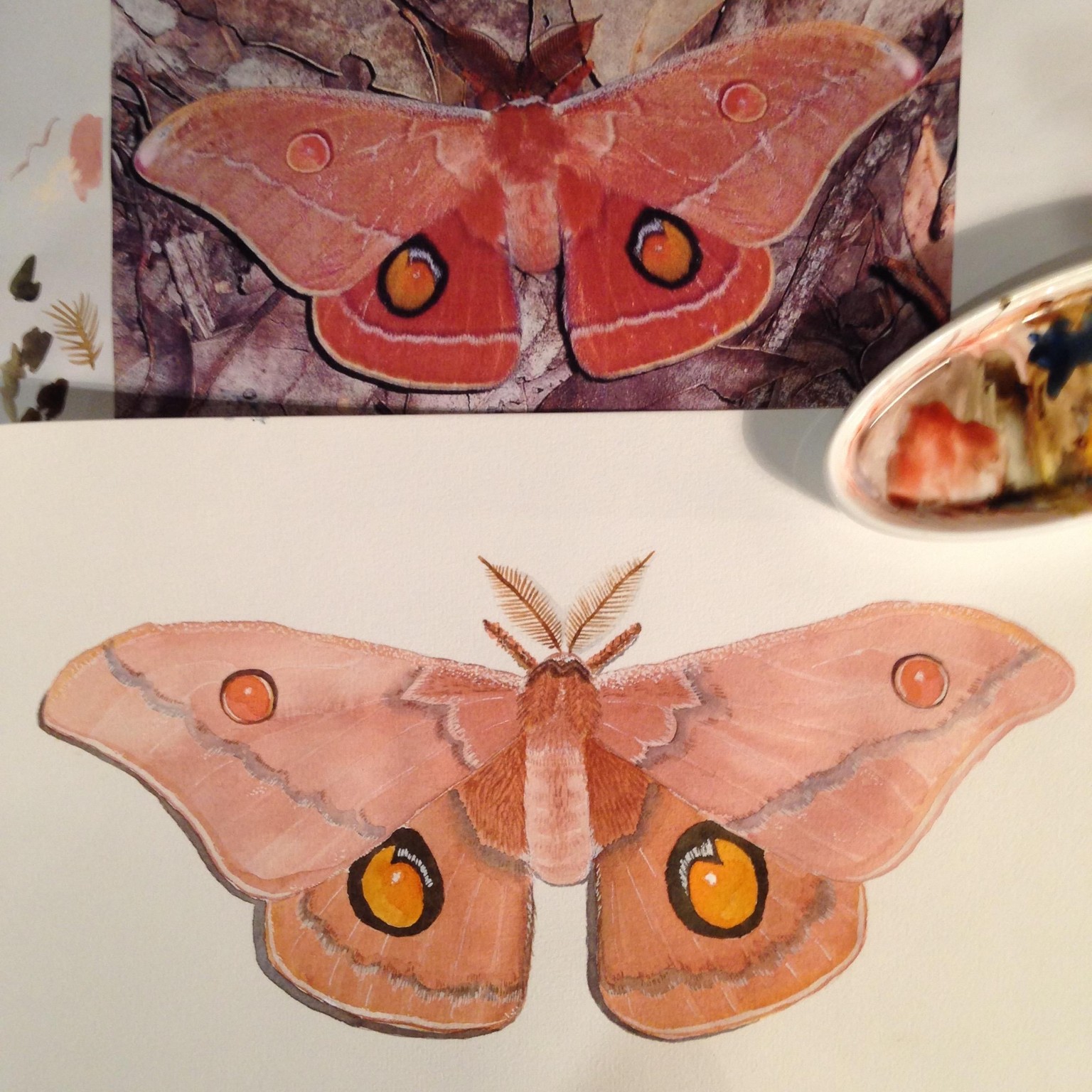 Glazing revisited - image 1 - student project