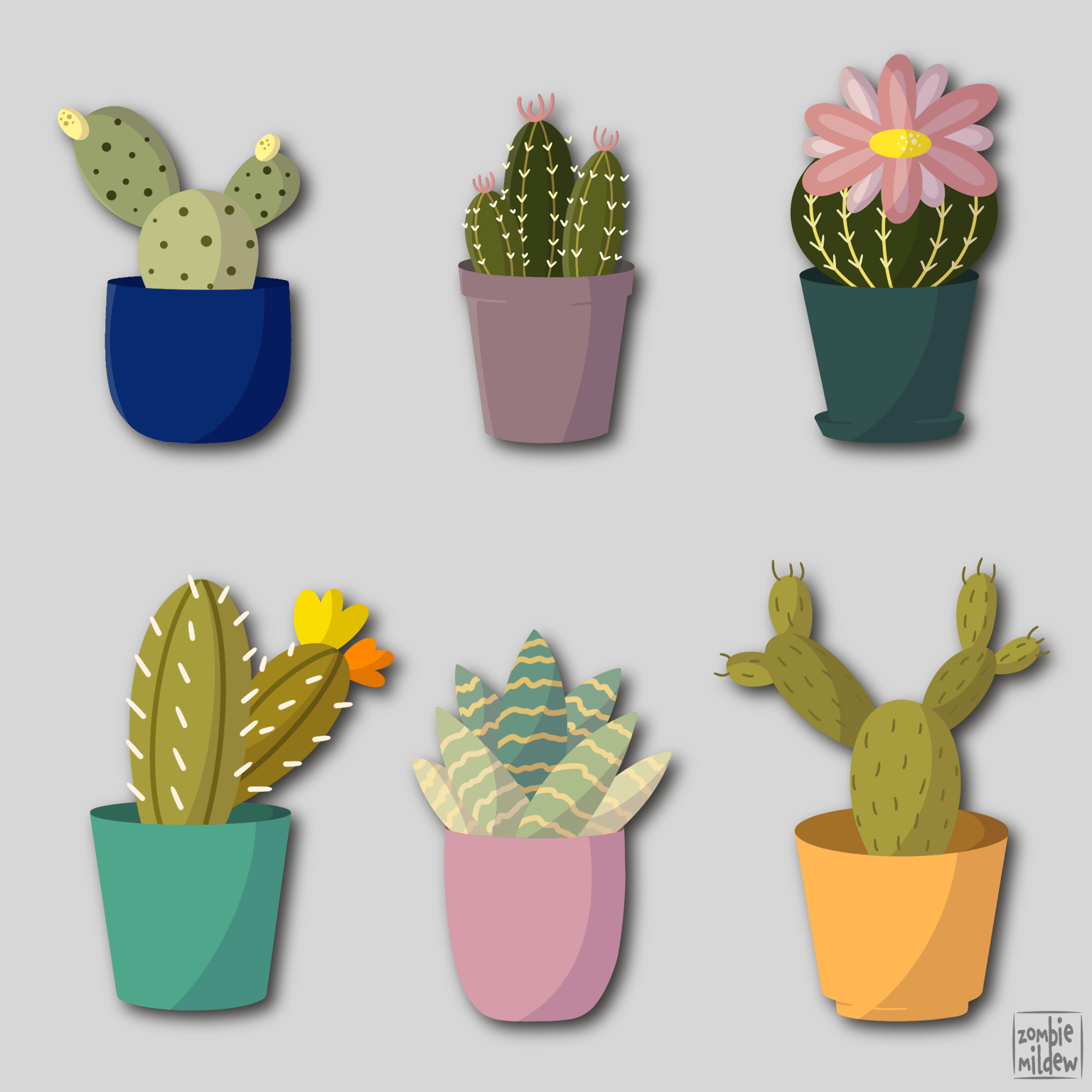 Cacti - image 1 - student project