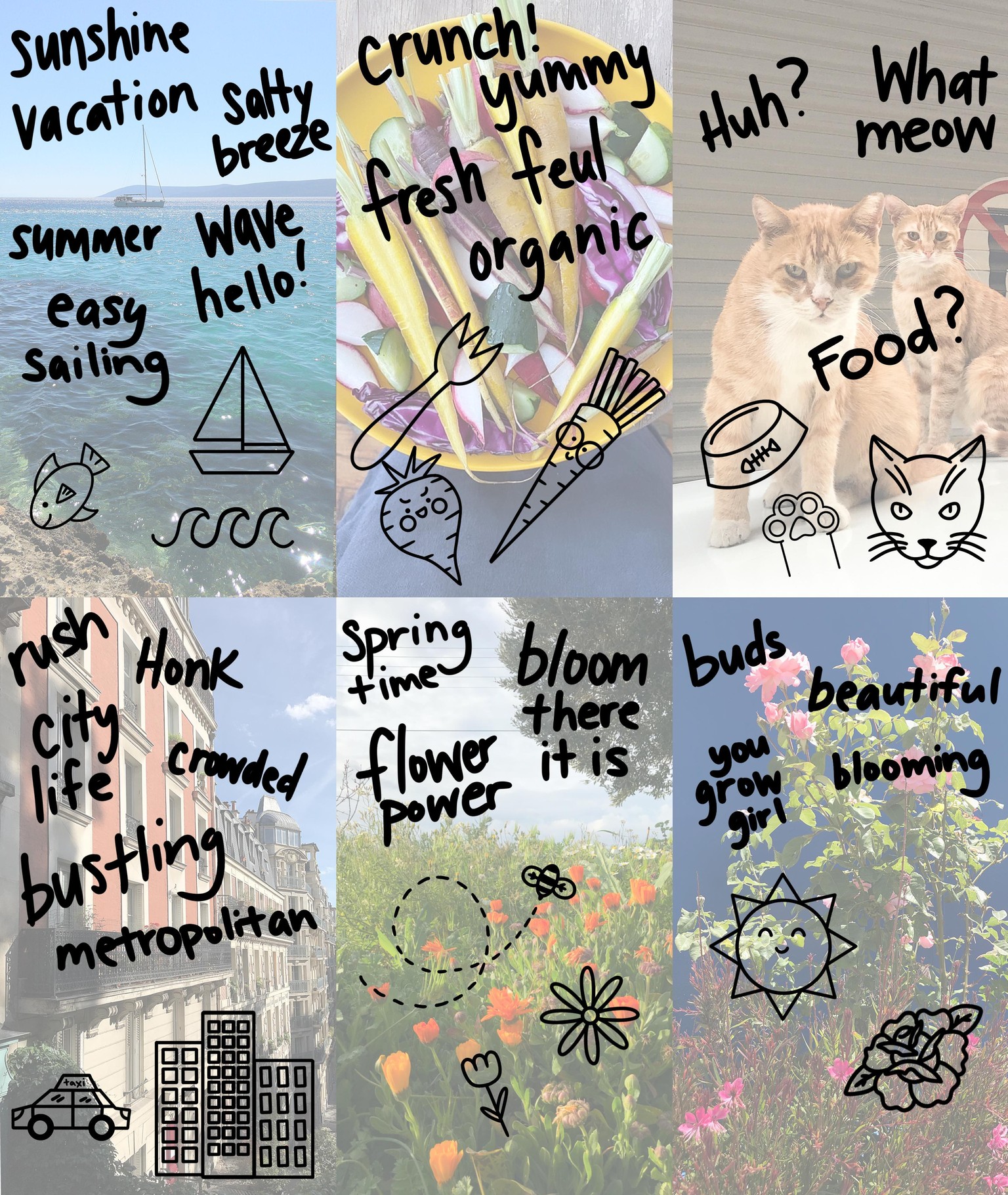 Animated GIFs for Instagram - image 1 - student project