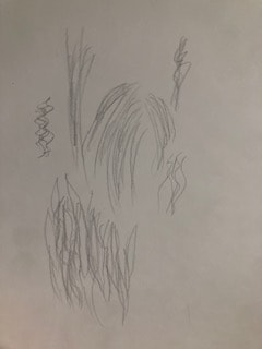 Highland Cow - image 2 - student project