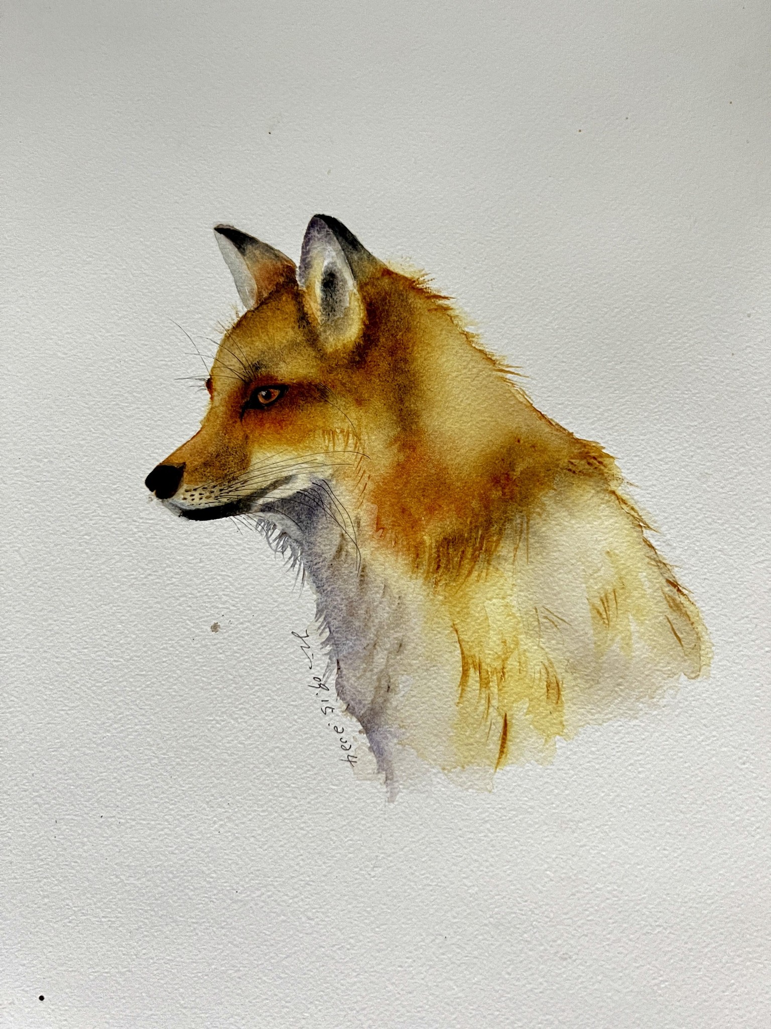 Mr. Fox - image 1 - student project