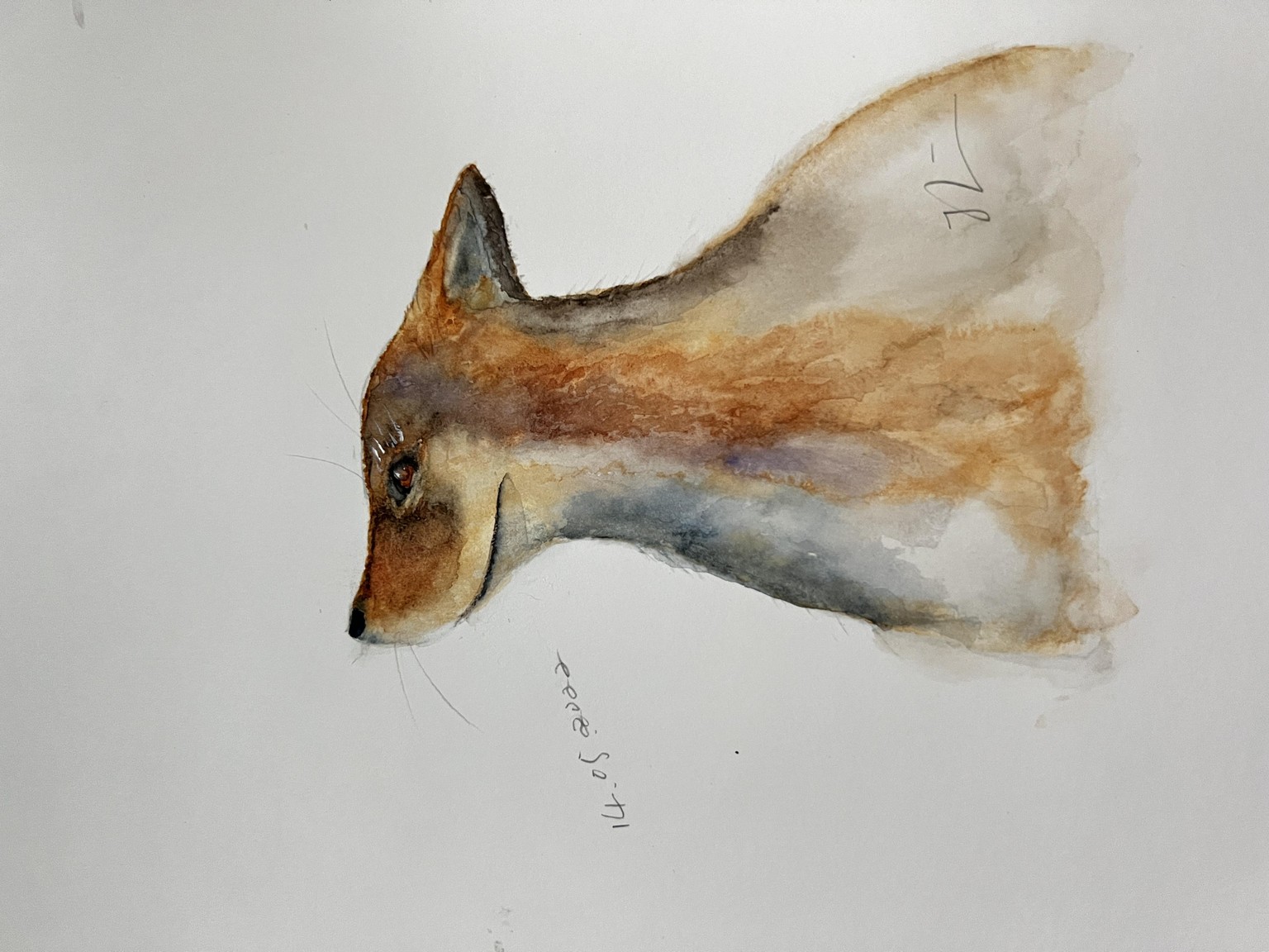 Mr. Fox - image 2 - student project