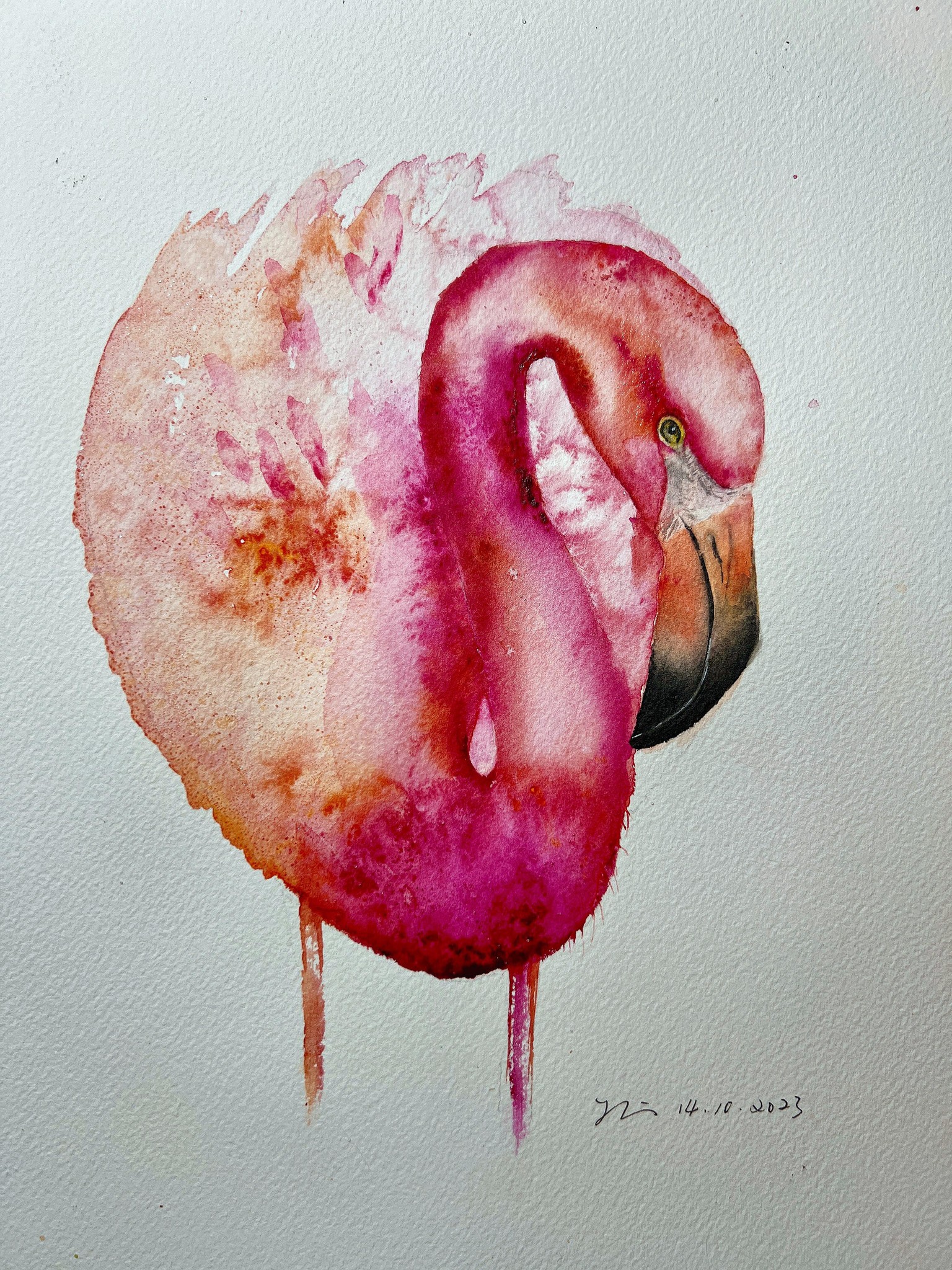 Mr. Flamingo  - image 1 - student project