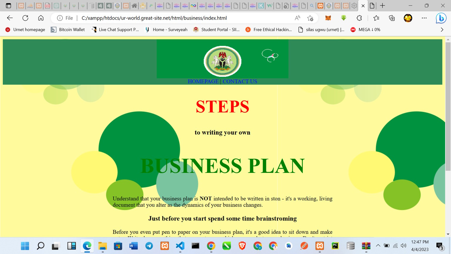 Business Plan - image 1 - student project