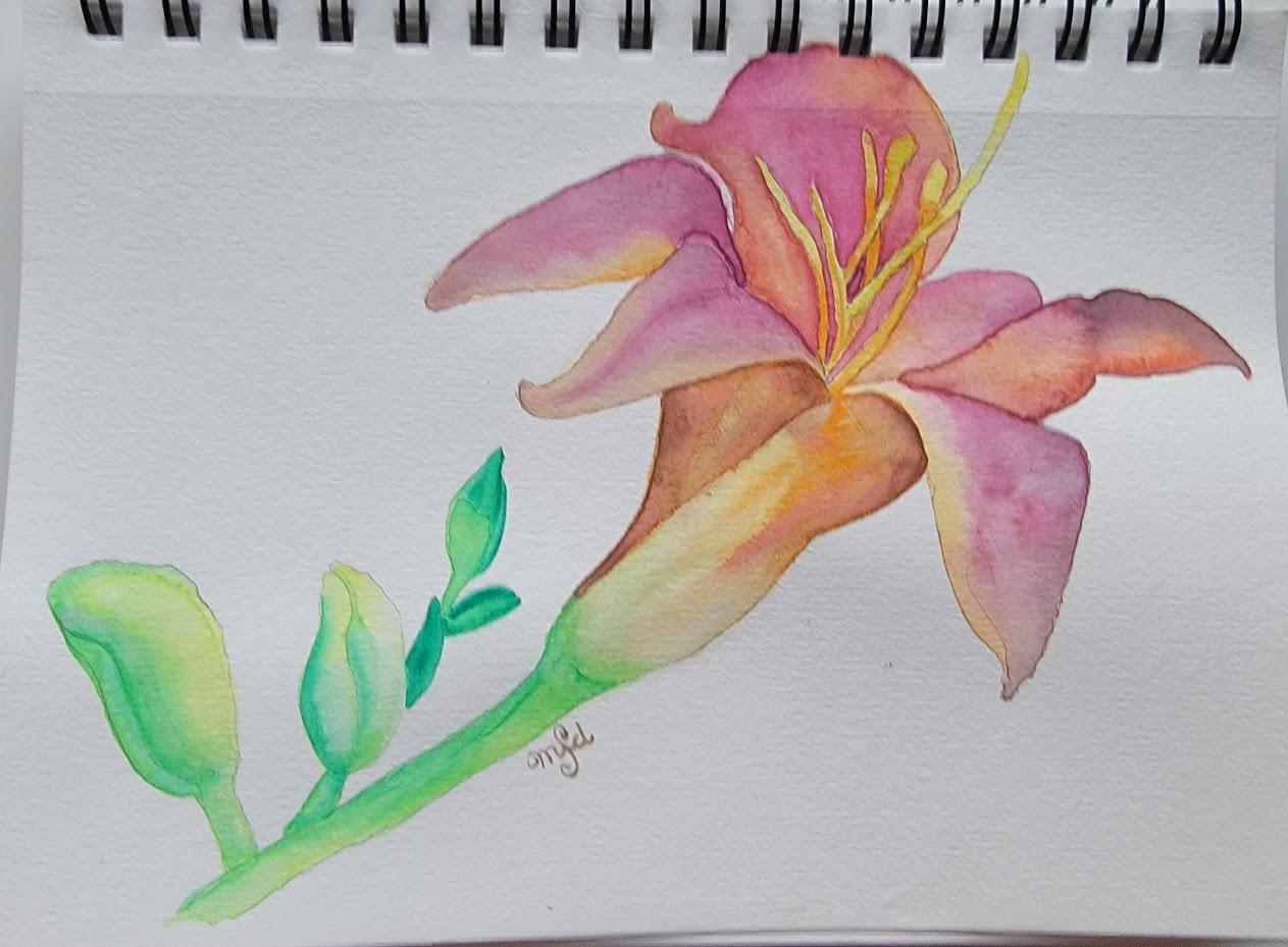 Lily - image 1 - student project
